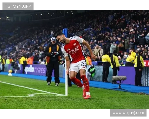 梅里诺成长空间