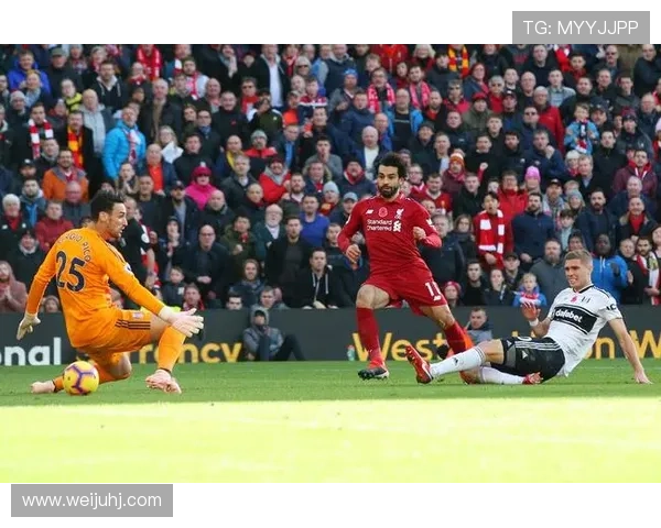 努涅斯：从乌拉圭草根到利物浦9号的生涯逆袭解析