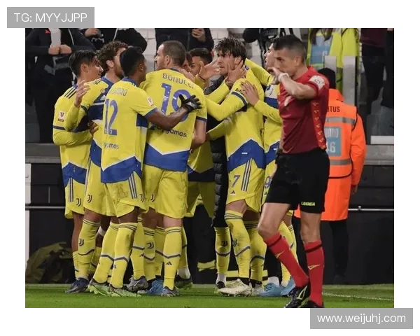 弗拉霍维奇禁区统治力解析：传统9号模板